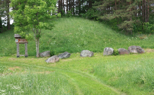 4_Pavištyčio akmenų grupė.jpg